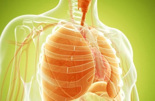 comment renforcer poumons