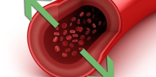 Les plantes médicinales pour soigner l’hypertension