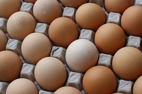 Oeufs