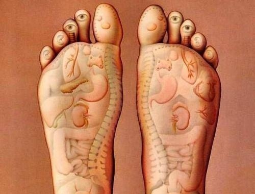 Découvrez comment vos pieds révèlent votre état de santé Réflexologie-500x380