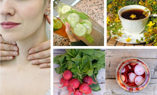 Plantes médicinales pour réguler et prendre soin de sa thyroïde