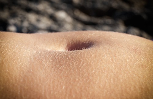 les bactéries sont un bouclier de défense du nombril