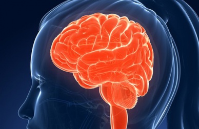 Les aliments qui nuisent à la mémoire et à l'intelligence