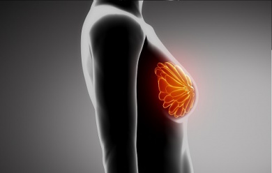 Le soutien-gorge est-il utile ?