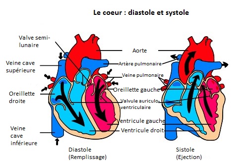 Souffle cardiaque : c’est quoi ?