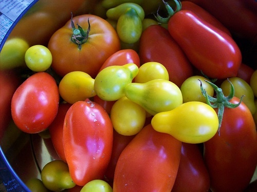 Les légumes un des meilleurs aliments pour les os