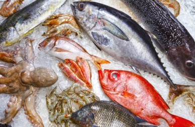 5 poissons que vous devriez éviter