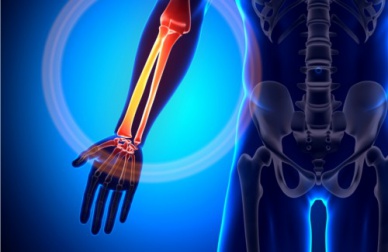 Les 10 meilleurs aliments pour les os