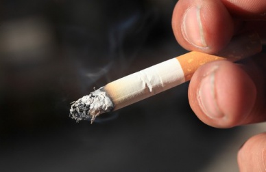 Les plantes pour arrêter de fumer