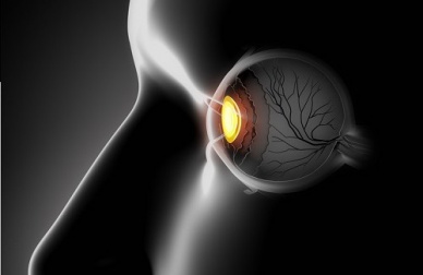 Des boissons bienfaisantes pour entretenir sa vue