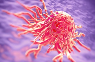 Les plantes médicinales contre le cancer