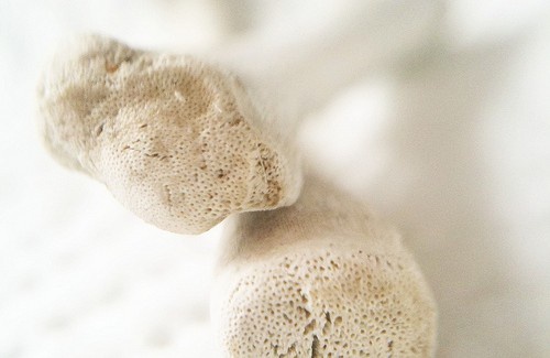 La meilleure alimentation pour fortifier les os