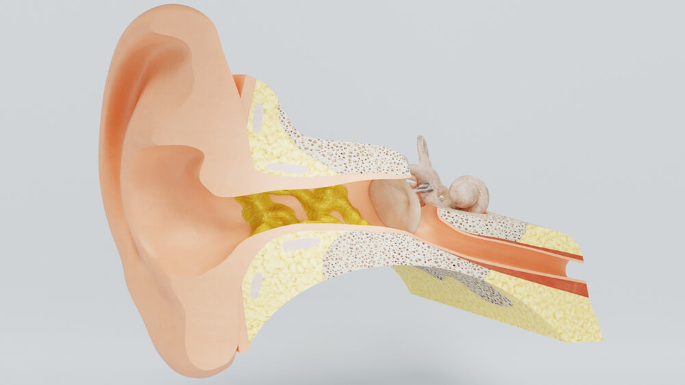 Bouchon De Cerumen Qui Sort Tout Seul Éliminer les bouchons de cérumen de façon naturelle - Améliore ta Santé