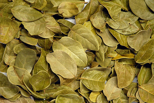 Le thé de boldo ou le thé vert sont des alliés parfaits pour détoxifier l'organisme.