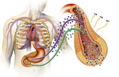 Diabète de type 2 : ses principales causes