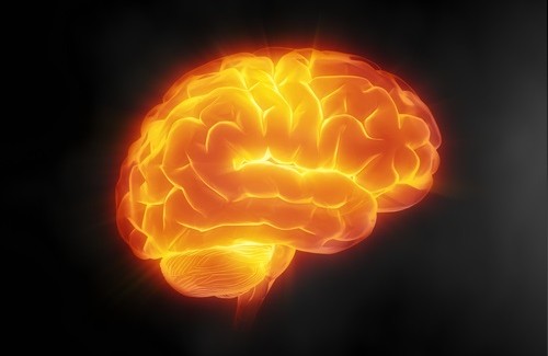 Sept conseils pour prendre soin de votre cerveau