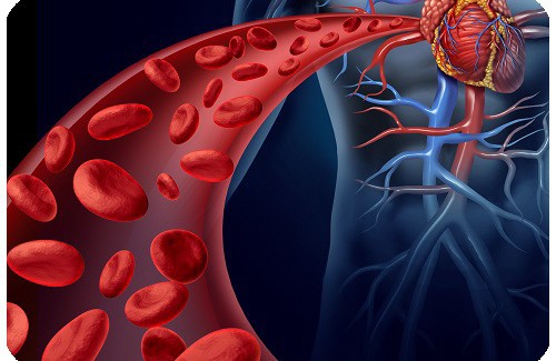 Traitements naturels contre l'hypertension et bonnes habitudes à suivre