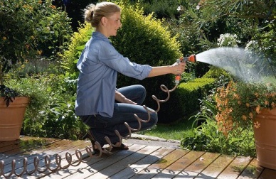 Pourquoi mettre des plantes dans la maison ?