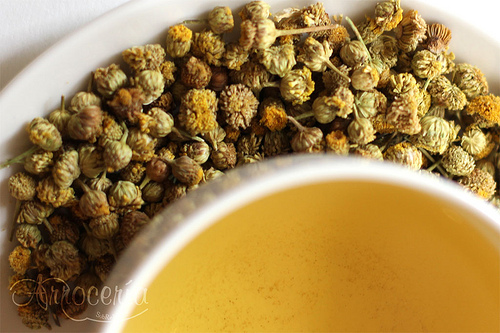 Camomille pour la vésicule.