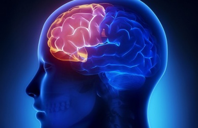 Milk-shakes maison pour améliorer sa mémoire