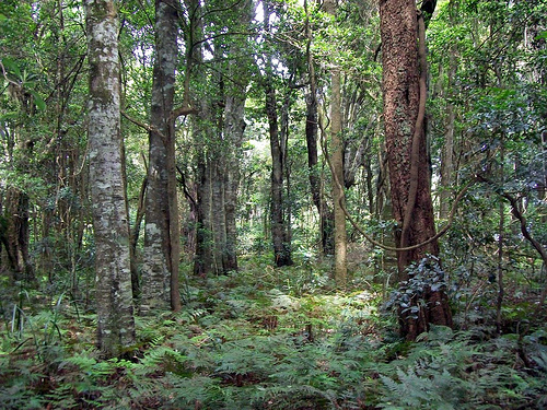 Conseils pratiques pour traiter la dépression