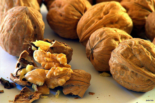 conseils pour prendre soin de votre cerveau : bonne alimentation