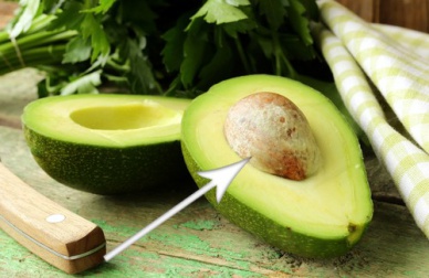 Protégez votre organisme grâce au noyau d'avocat