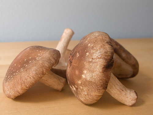 les champignons shiitaké pour contrôler le diabète de type 2 naturellement