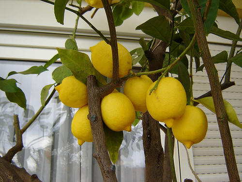 usages du citron surprenants : tâches sur la peau