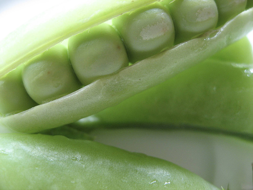 Petits pois contre le cancer colorectal.