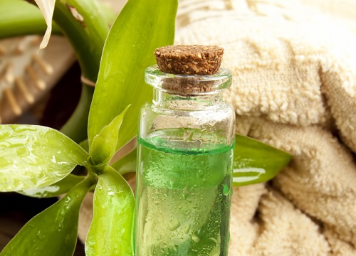 huile de thé et feuille de thé