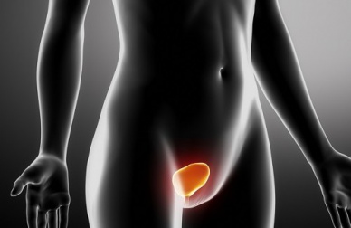 Prévenir les infections urinaires chez les femmes