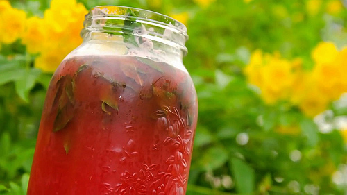 jus de pastèque