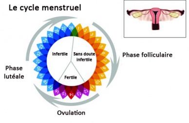 Règles irrégulières : quelle en est la cause ?