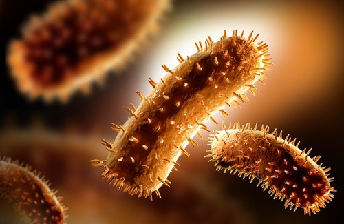 virus