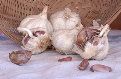 Remèdes naturels pour éliminer les verrues