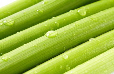Le céleri pour perdre du poids facilement
