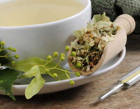 La gentiane pour prendre du poids.