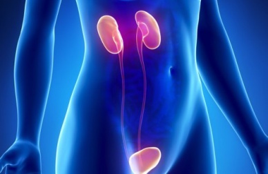 Les 10 symptômes de l'insuffisance rénale