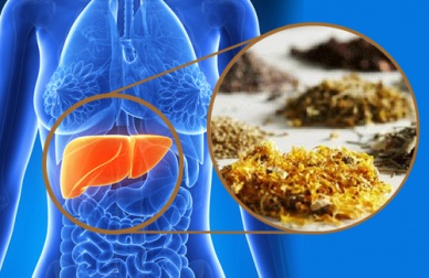 Des plantes médicinales pour purifier le foie