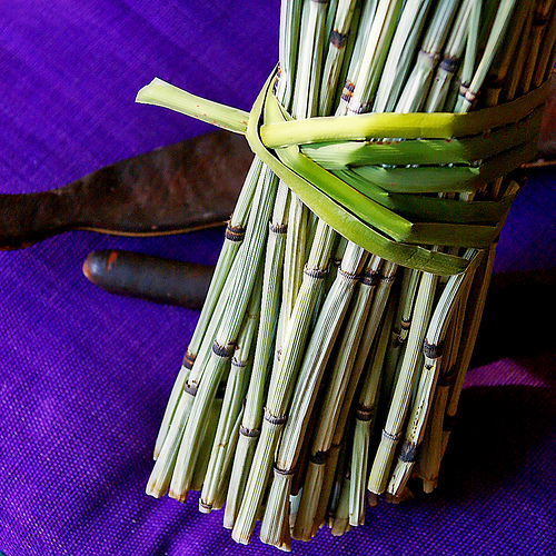 Remèdes contre un excès de liquides.