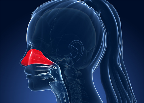 Remèdes naturels contre les allergies nasales : solutions salines