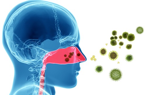 Remèdes naturels contre les allergies nasales