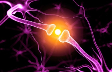 Les conseils pour améliorer la mémoire