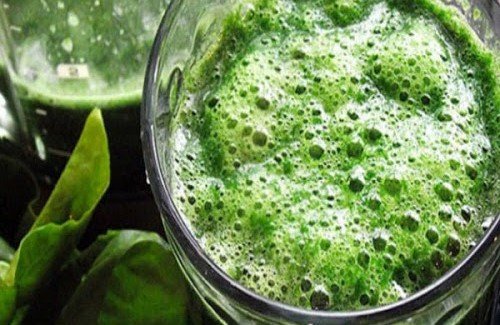 Tout savoir sur la spiruline