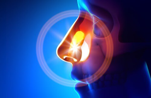 Conseils pour éviter et traiter naturellement la sinusite