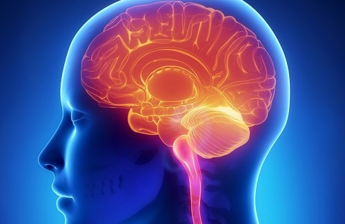11 mauvaises habitudes quotidiennes qui nuisent à notre cerveau