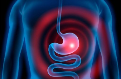 Des fruits excellents pour combattre la gastrite