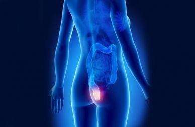 Apprendre à détecter les hémorroïdes à temps !