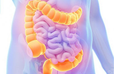 Des herbes médicinales pour prendre soin de son côlon